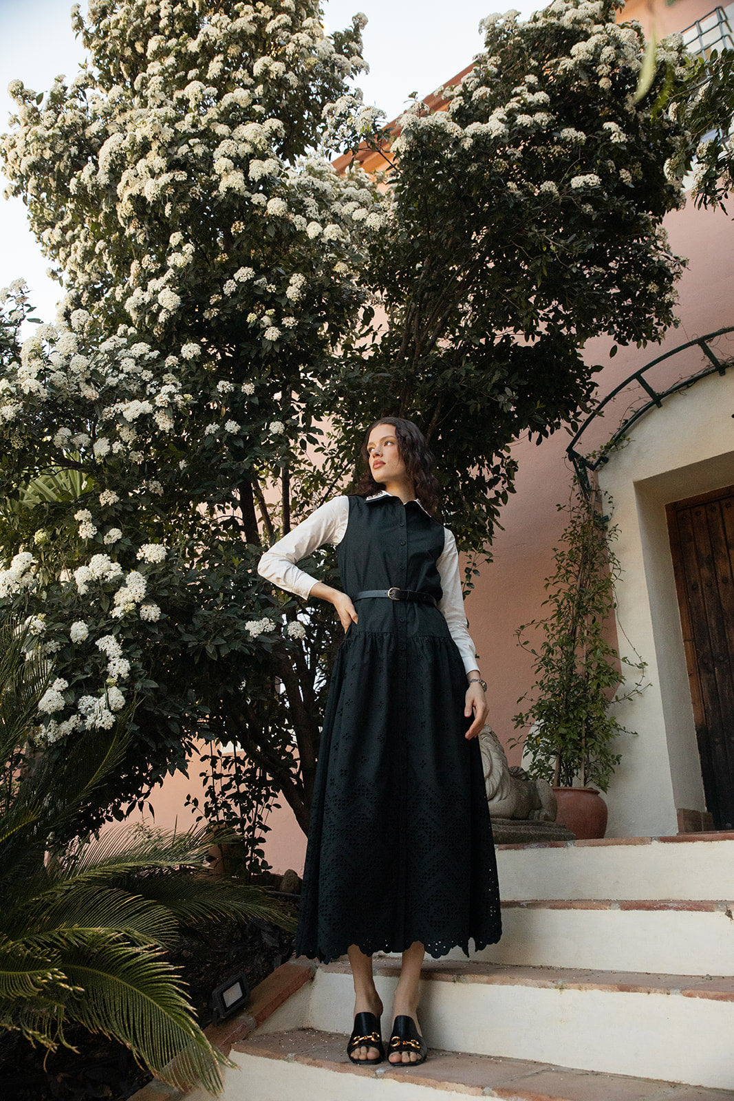 Broderie Poplin Dress with Pointed Navy Collar